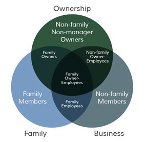family business circle framework