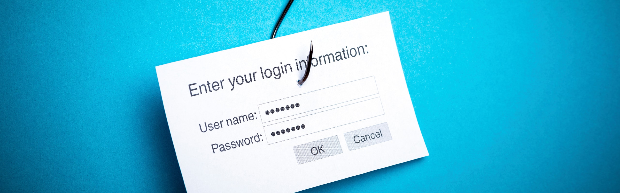 Avoid employee information being hacked